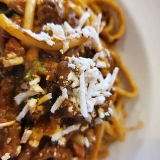 Bolognese